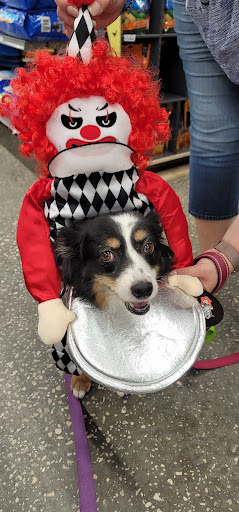 Roofing Contractor «Arrys Roofing Services, Inc.», reviews and photos