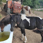 Photo n°5 de l'avis de Felice.a fait le 27/06/2021 à 09:24 sur le  paninoteca da Sastiano à Maddaloni