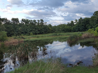 Stoneridge Pond