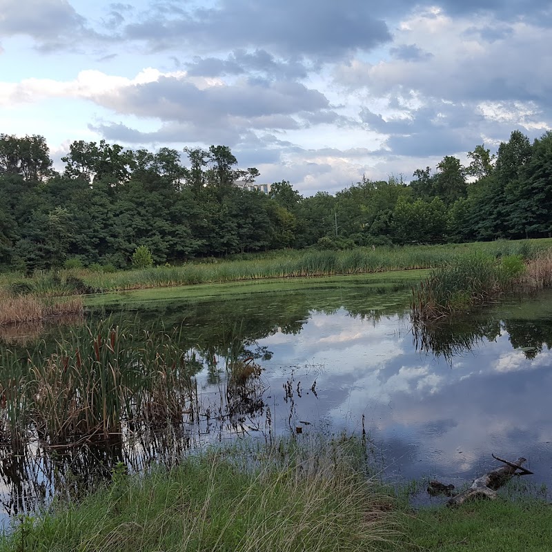 Stoneridge Pond
