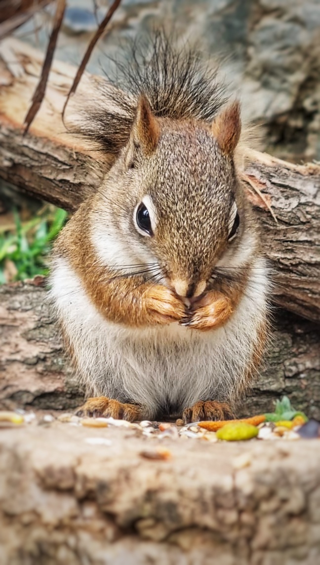 Photo n° 5 de l'avis de Bruno.I fait le 30/07/2022 à 08:58
