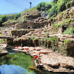 Photo n° 19 de l'avis de Fab. fait le 05/07/2023 à 18:31 pour Bioparc de Doué-la-Fontaine à Doué-la-Fontaine