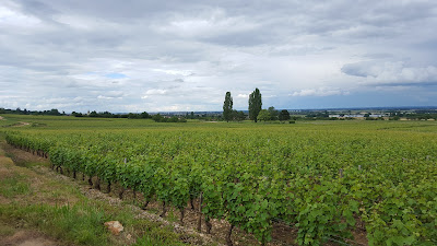 Clos Saint Louis à Fixin