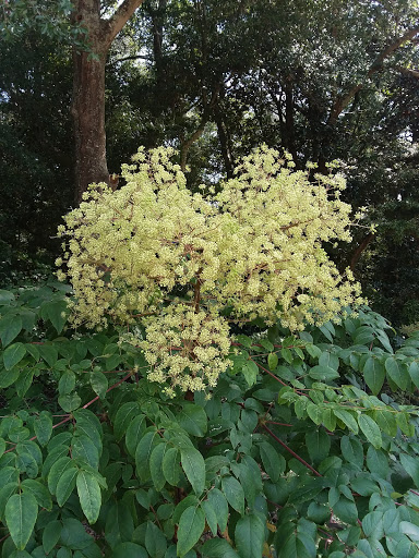 Nature Preserve «Forever Wild Trails», reviews and photos, 384 Narcisse Drive, Dothan, AL 36305, USA
