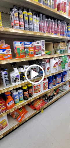 Hardware Store «Ace Hardware», reviews and photos, 6874 Gulfport Blvd S #807, South Pasadena, FL 33707, USA