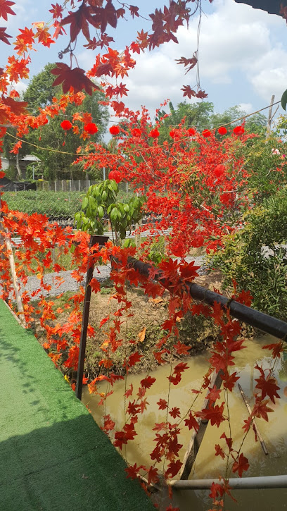 Vườn dâu Sa Đéc Tùng Nguyễn
