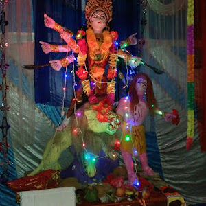 Lalla Poultry Form photo