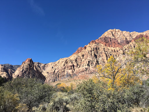 National Reserve «Red Rock Canyon National Conservation Area», reviews and photos, 1000 Scenic Loop Dr, Las Vegas, NV 89161, USA