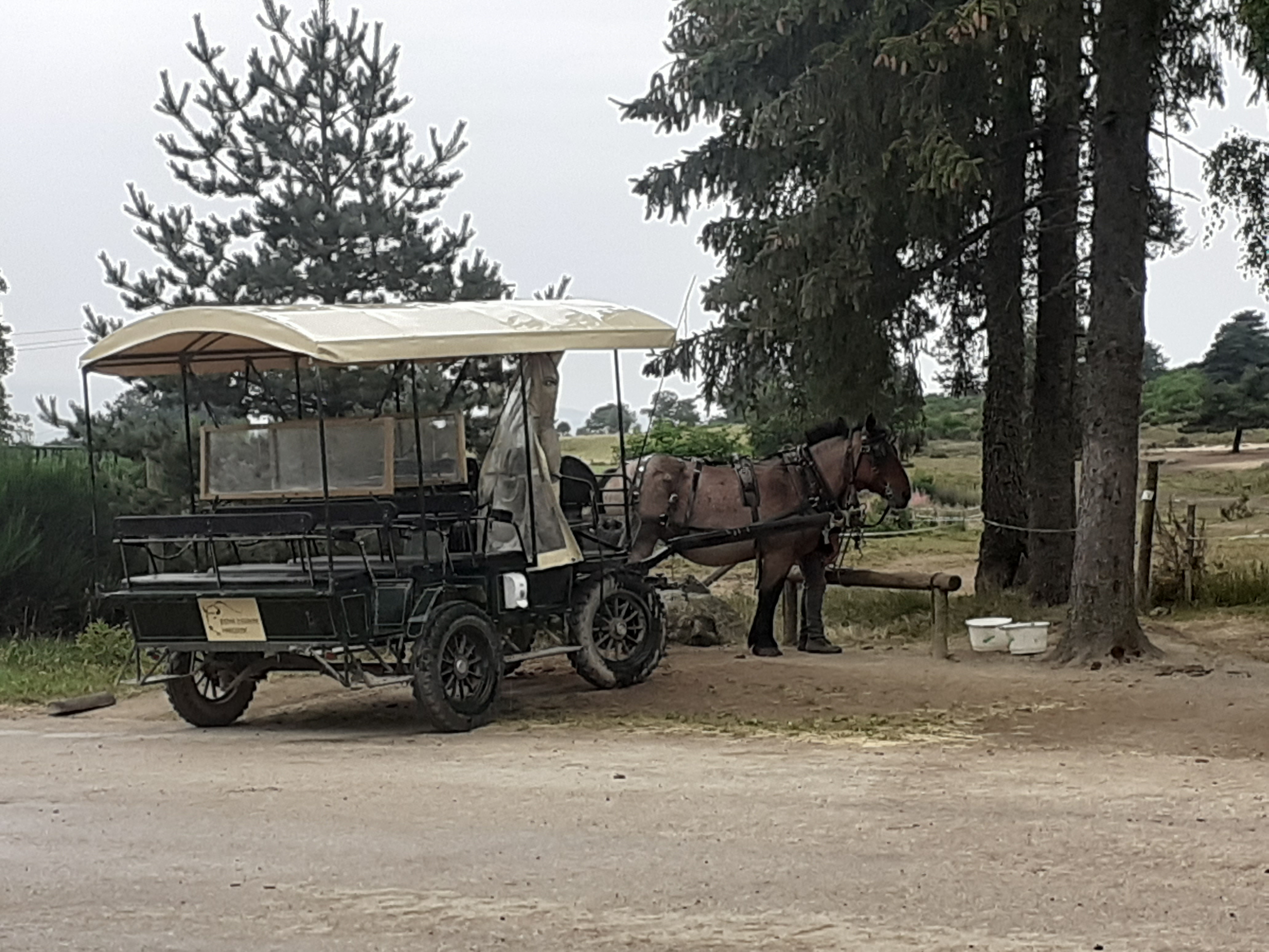 Photo n° 2 de l'avis de alain.o fait le 02/09/2021 à 18:21