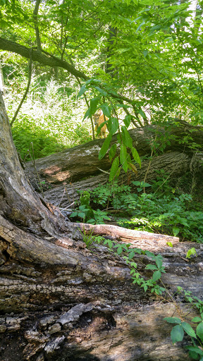 Park «Seneca Park», reviews and photos, 3151 Pee Wee Reese Rd, Louisville, KY 40207, USA