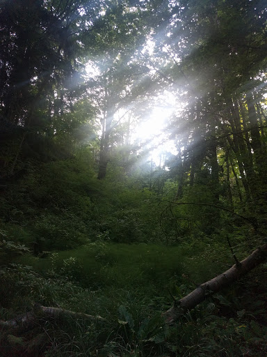 Park «Frink Park», reviews and photos, 398 Lake Washington Blvd S, Seattle, WA 98144, USA