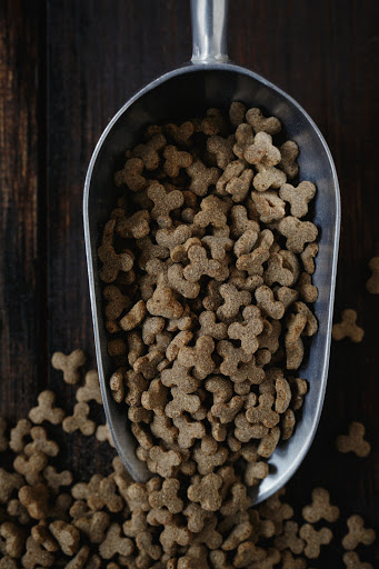 Pet Supply Store «Pet Wants», reviews and photos, 321 S Ashland Ave, Lexington, KY 40502, USA