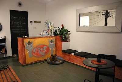 Photos of Hostal Tierra Plana