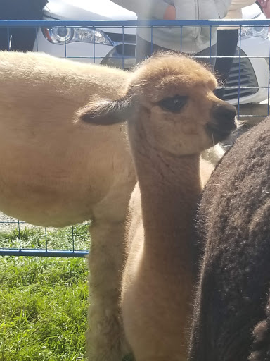 Book Store «Partners Village Store», reviews and photos, 865 Main Rd, Westport, MA 02790, USA