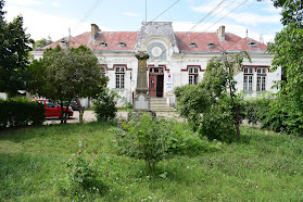 Biblioteca Municipală Virgil Carianopol