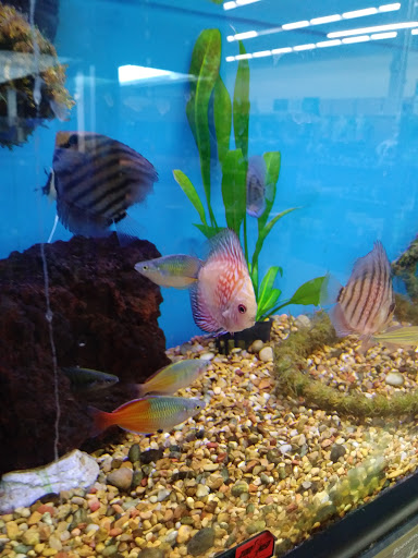 Pet Supply Store «Petco Animal Supplies», reviews and photos, 5975 20th St, Vero Beach, FL 32966, USA