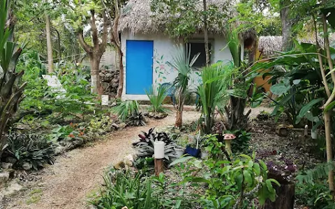 Mayan Bongalow Near Chichén image