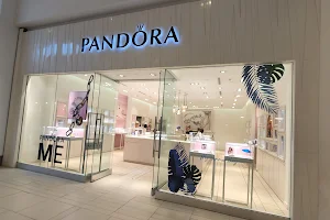 Pandora Jewellery image