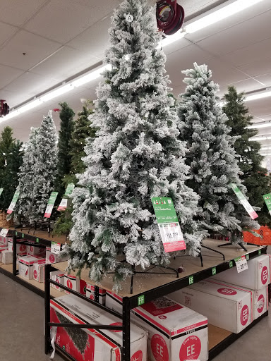 Discount Store «Big Lots», reviews and photos, 275 S Broadway, Hicksville, NY 11801, USA