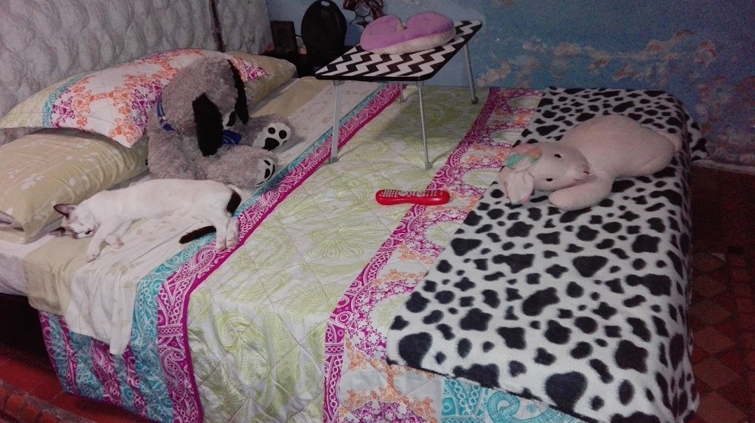 Sala De Belleza Roma