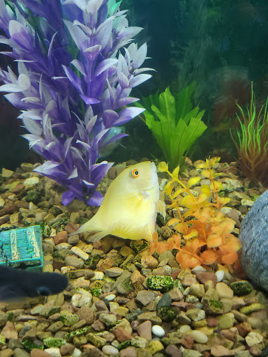 Pet Store «Pet Connection», reviews and photos, 1441 W State St, Alliance, OH 44601, USA