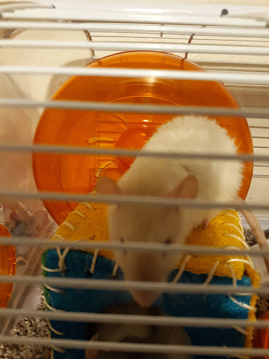 Pet Store «Windy City Pet Store», reviews and photos, 1660 N 4th St m, Laramie, WY 82072, USA