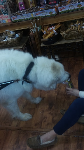 Pet Supply Store «Top Dogs Pet Boutique», reviews and photos, 2615 George Busbee Pkwy NW #14, Kennesaw, GA 30144, USA