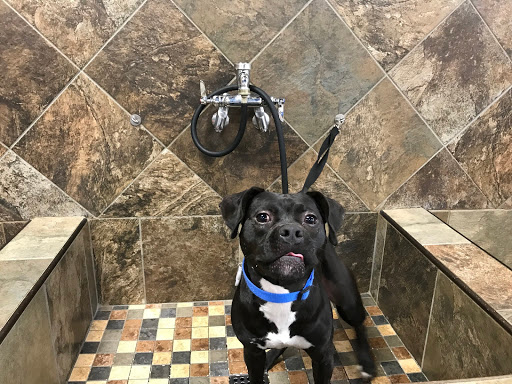 Pet Store «Pet Valu», reviews and photos, 2231 Old Bridge Rd, Lake Ridge, VA 22192, USA