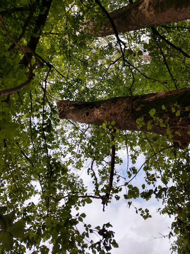 Park «Harrods Creek Park», reviews and photos, 6530 Montero Dr, Prospect, KY 40059, USA