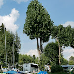 Photo n°3 de l'avis de Josef.a fait le 10/09/2021 à 07:21 sur le  Camping Magdalena & Haus Sonnenlage à Rieden am Forggensee