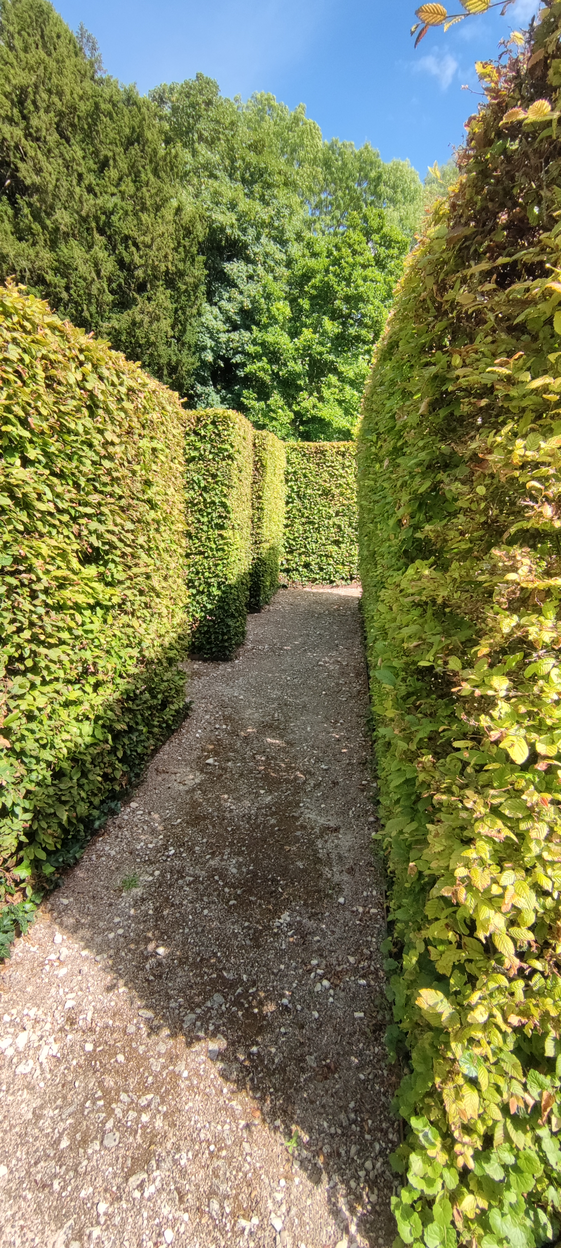 Photo n° 24 de l'avis de Bérengère.H fait le 13/07/2023 à 16:21