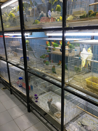 Al-Kanari for Birds & Fish Aquarium