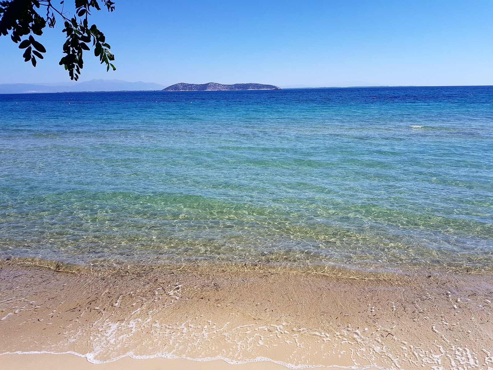 Paralia Glifadas'in fotoğrafı geniş ile birlikte