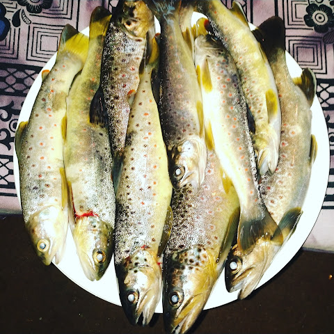 Jibhi_Heaven by null