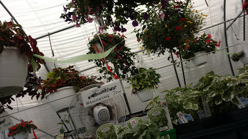 Hardware Store «Whitmore Ace Hardware», reviews and photos, 210 S State St, Manhattan, IL 60442, USA