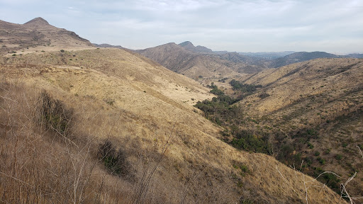 Conejo Canyons Open Space