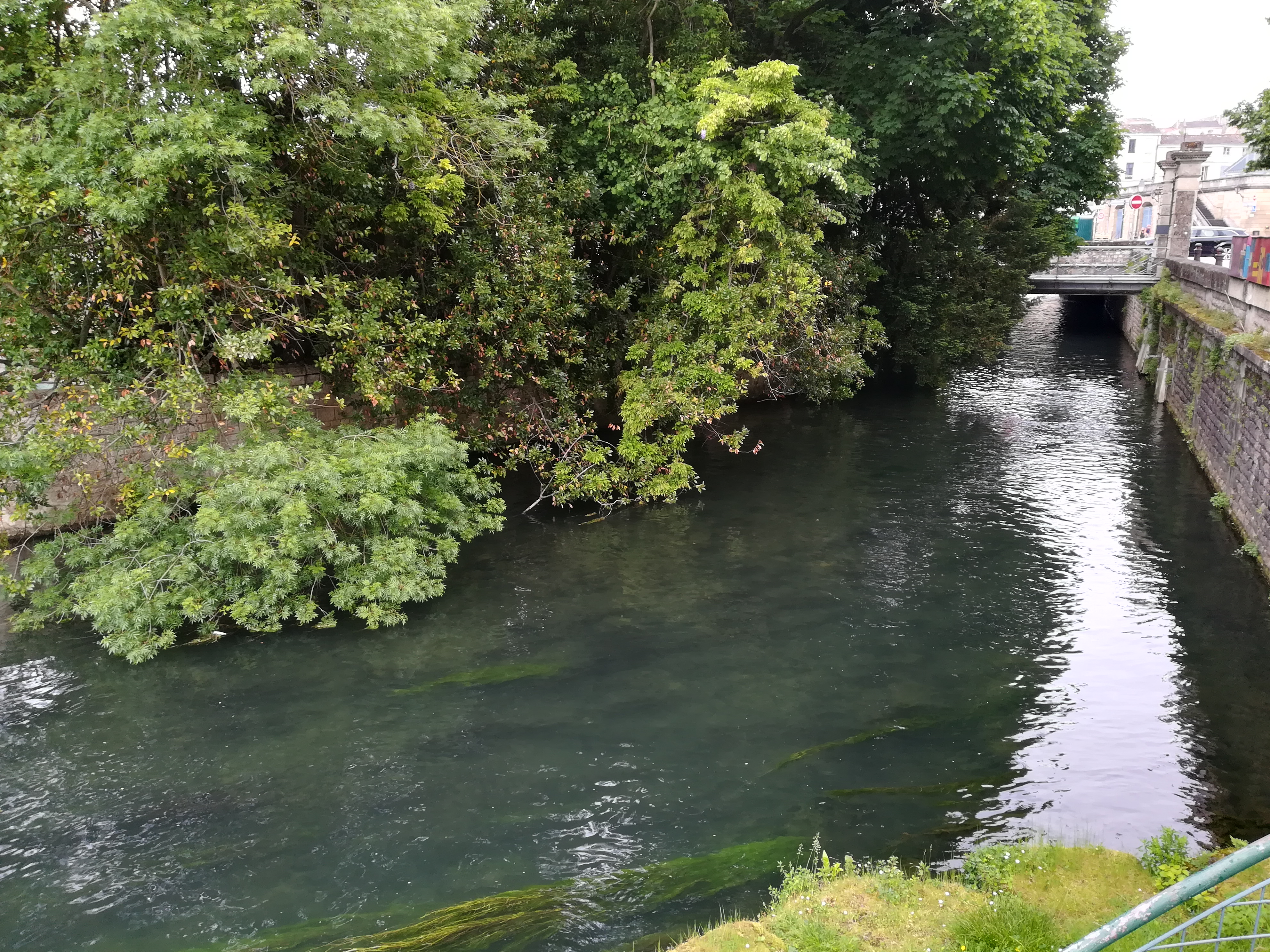 Photo n° 8 de l'avis de Nicolas.e fait le 20/05/2019 à 19:16