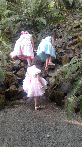 Wedding Chapel «Dancing Deer Mountain», reviews and photos, 25545 Hall Rd, Junction City, OR 97448, USA