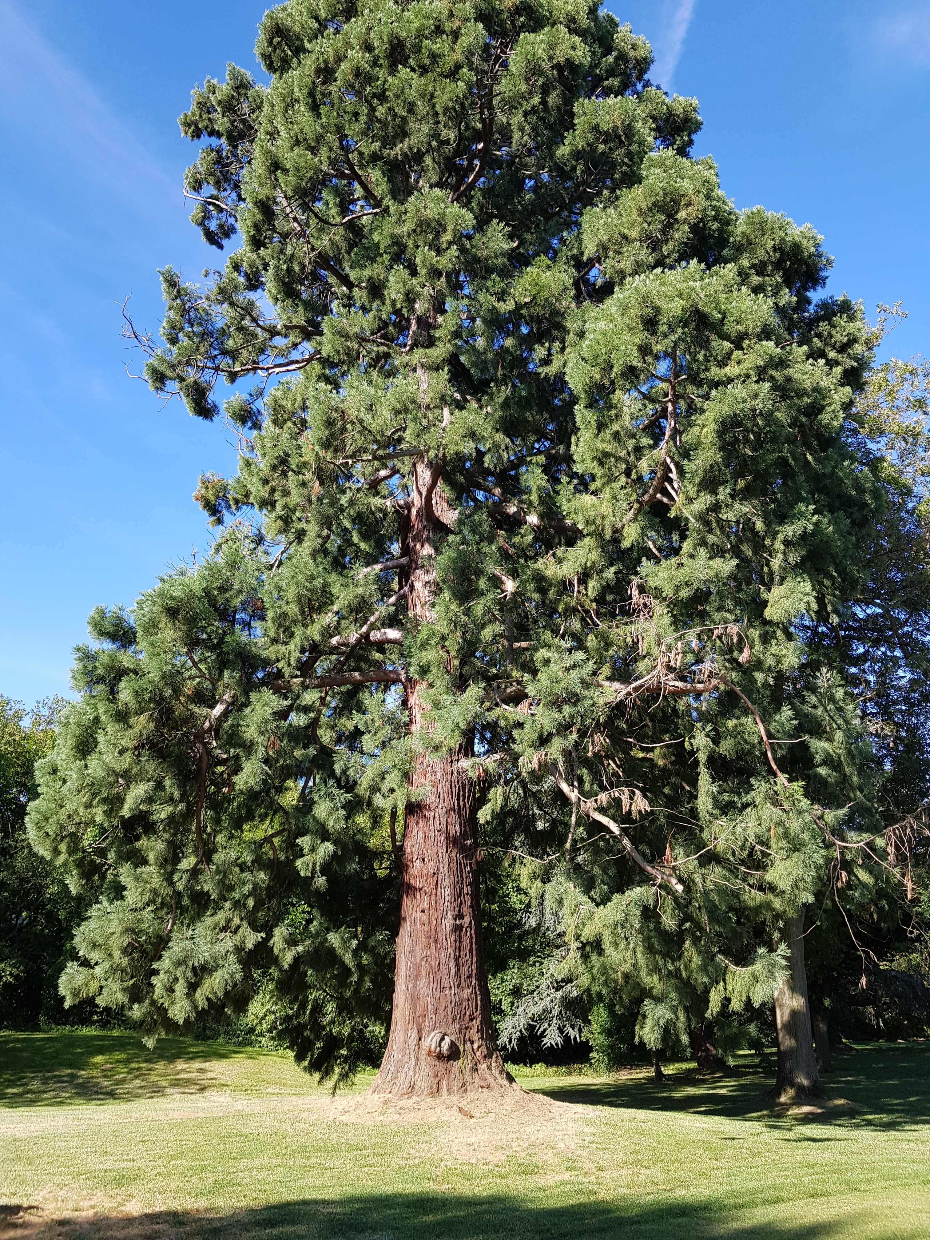 Photo n° 18 de l'avis de Lo.e fait le 19/07/2018 à 12:28