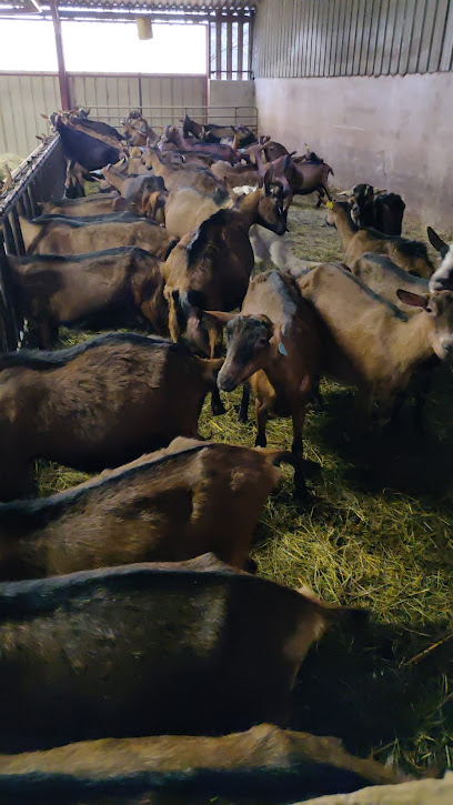 GAEC ESTIP fromages de chèvres fermiers