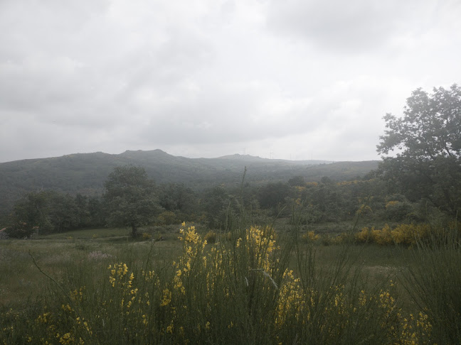 Café Central - Adelaide Maria Da Costa Pereira