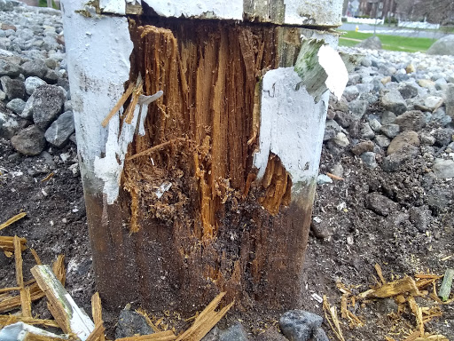 Florist «Colonial Flower Shoppe», reviews and photos, 611 Main St, Somers, CT 06071, USA