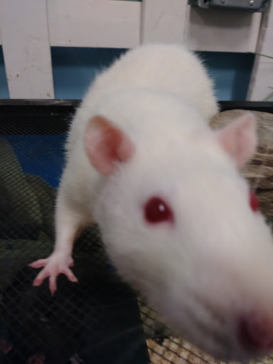 Pet Supply Store «CountryMax - Geneseo», reviews and photos, 4101 Lakeville Rd, Geneseo, NY 14454, USA