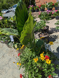 Gro Smart - Photo 8 - Car repair in Hillsborough, NC, Durham