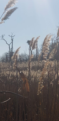 Nature Preserve «Seatuck Environmental Association», reviews and photos, 550 S Bay Ave, Islip, NY 11751, USA