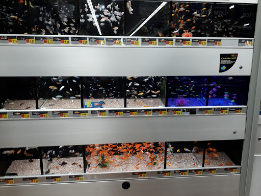 Department Store «Walmart Supercenter», reviews and photos, 8990 Turkey Lake Rd, Orlando, FL 32819, USA