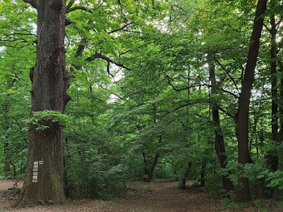 WWF Magyarország Alapítvány