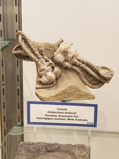 Museum «Colorado School of Mines Geology Museum», reviews and photos, 1301 Maple St, Golden, CO 80401, USA