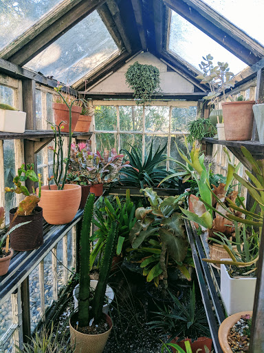 Gift Shop «GENERAL STORE», reviews and photos, 4035 Judah St, San Francisco, CA 94122, USA