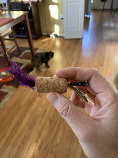 Pet Store «Pet Valu», reviews and photos, 1422 North Point Village Center, Reston, VA 20194, USA